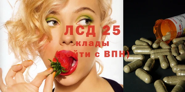 гашик Баксан