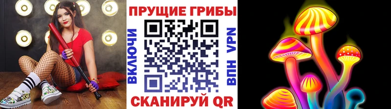 как найти   Ладушкин  Галлюциногенные грибы Cubensis 